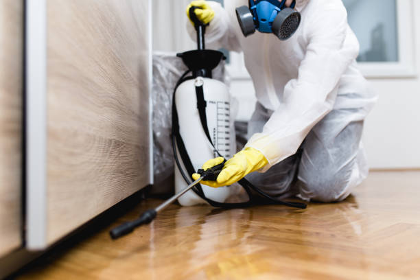 Best Termite Control Services  in Columbiana, AL