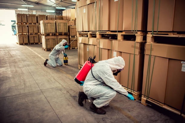 Best Exterminator Services  in Columbiana, AL