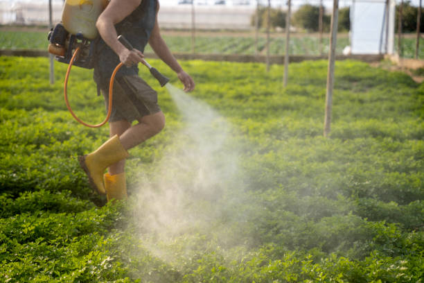 Best Commercial Pest Control Services  in Columbiana, AL
