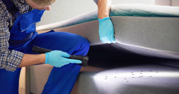 Best Mosquito Control Services  in Columbiana, AL