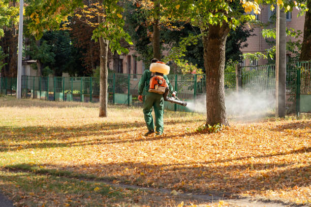 Best Pest Control Near Me  in Columbiana, AL