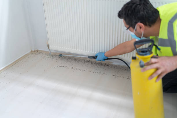 Best Flea Control Services  in Columbiana, AL